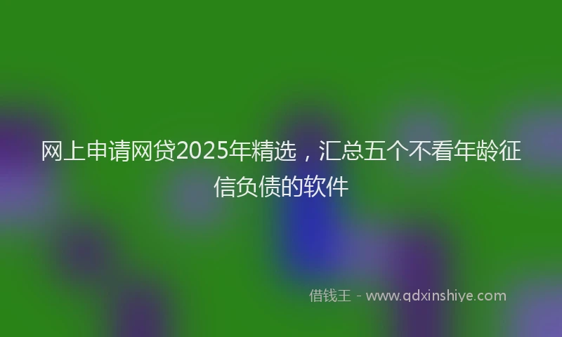 网上申请网贷2025年精选，汇总五个不看年龄征信负债的软件