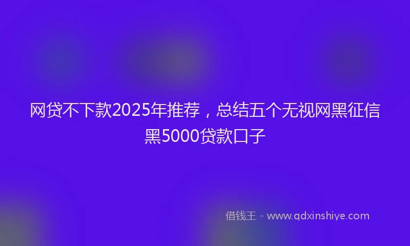 网贷不下款2025年推荐，总结五个无视网黑征信黑5000贷款口子