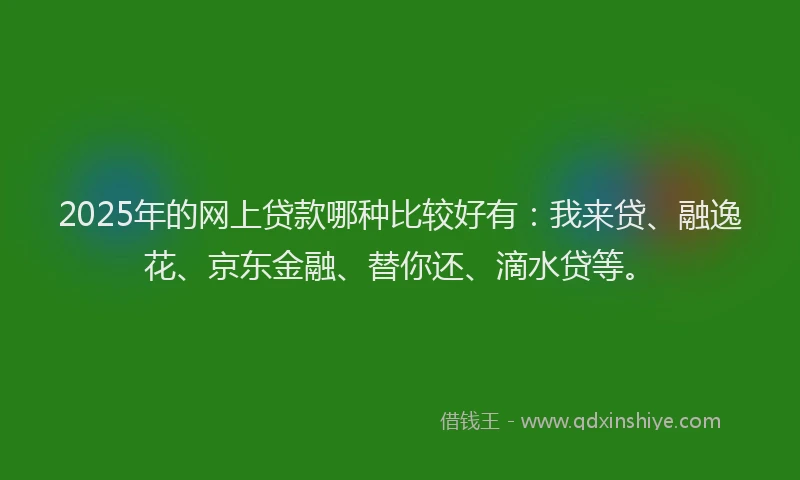 2025年的网上贷款哪种比较好有：我来贷、融逸花、京东金融、替你还、滴水贷等。