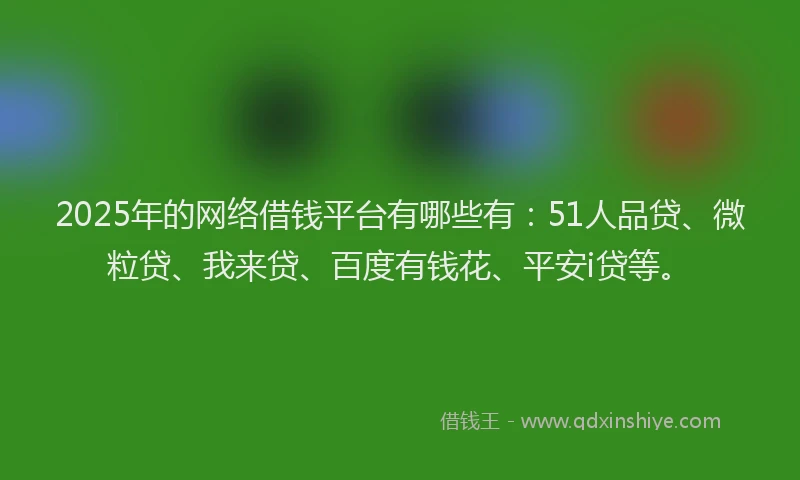 2025年的网络借钱平台有哪些有：51人品贷、微粒贷、我来贷、百度有钱花、平安i贷等。