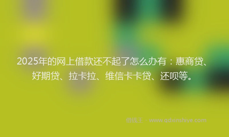 2025年的网上借款还不起了怎么办有：惠商贷、好期贷、拉卡拉、维信卡卡贷、还呗等。