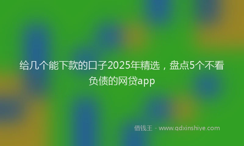 给几个能下款的口子2025年精选，盘点5个不看负债的网贷app
