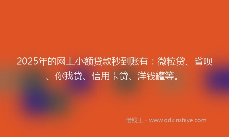 2025年的网上小额贷款秒到账有：微粒贷、省呗、你我贷、信用卡贷、洋钱罐等。