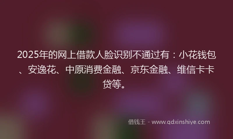 2025年的网上借款人脸识别不通过有：小花钱包、安逸花、中原消费金融、京东金融、维信卡卡贷等。