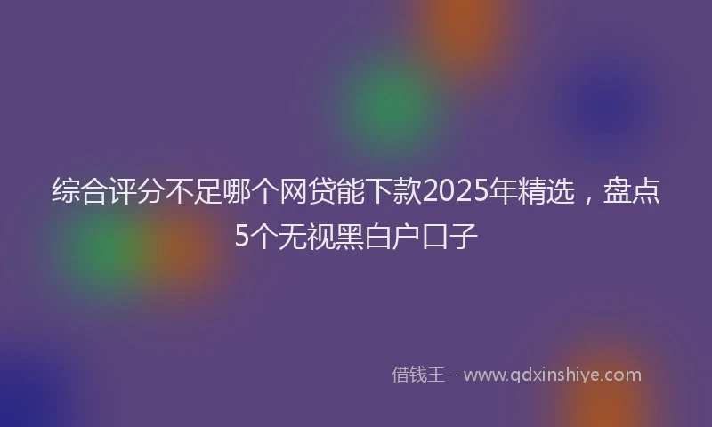 综合评分不足哪个网贷能下款2025年精选，盘点5个无视黑白户口子