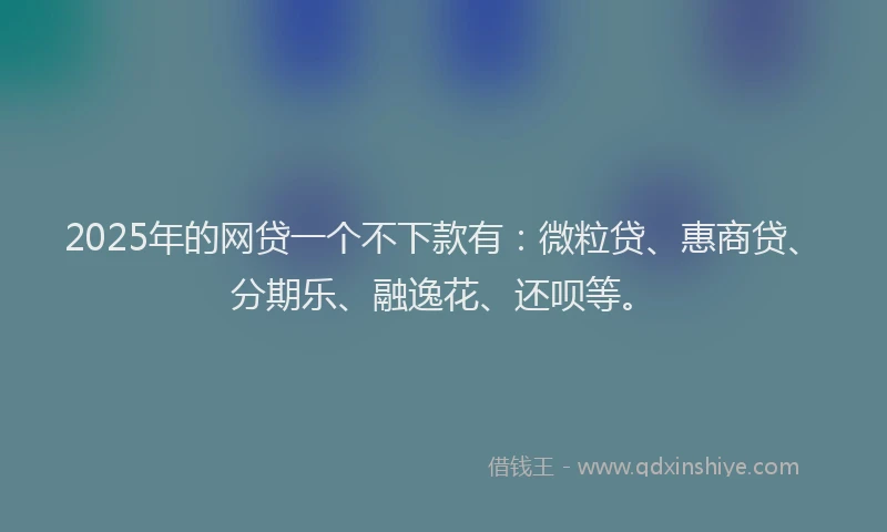 2025年的网贷一个不下款有：微粒贷、惠商贷、分期乐、融逸花、还呗等。
