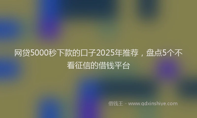 网贷5000秒下款的口子2025年推荐，盘点5个不看征信的借钱平台