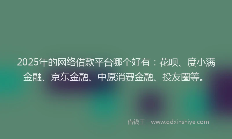 2025年的网络借款平台哪个好有：花呗、度小满金融、京东金融、中原消费金融、投友圈等。