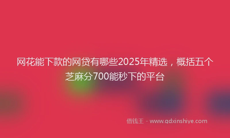 网花能下款的网贷有哪些2025年精选，概括五个芝麻分700能秒下的平台