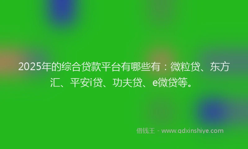 2025年的综合贷款平台有哪些有：微粒贷、东方汇、平安i贷、功夫贷、e微贷等。