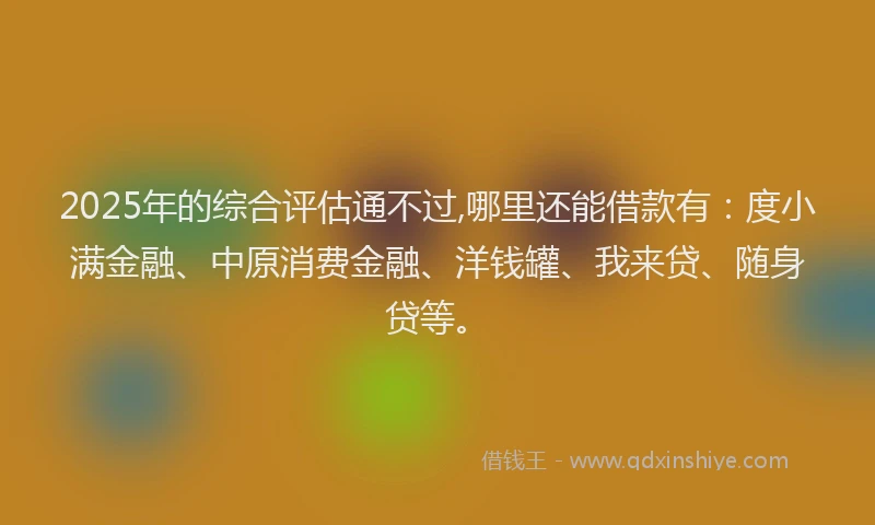 2025年的综合评估通不过,哪里还能借款有：度小满金融、中原消费金融、洋钱罐、我来贷、随身贷等。