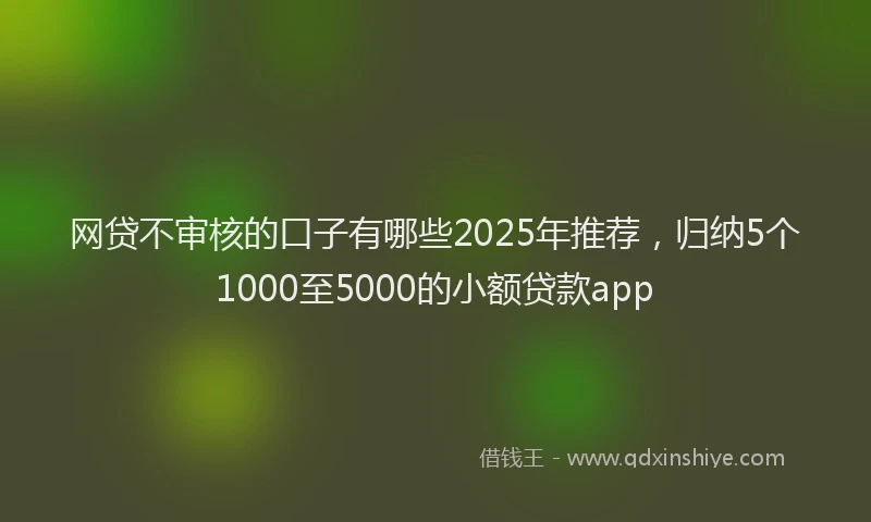 网贷不审核的口子有哪些2025年推荐，归纳5个1000至5000的小额贷款app