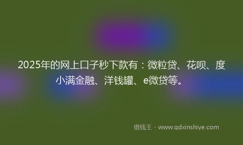 2025年的网上口子秒下款有：微粒贷、花呗、度小满金融、洋钱罐、e微贷等。