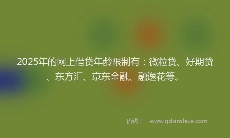 2025年的网上借贷年龄限制有：微粒贷、好期贷、东方汇、京东金融、融逸花等。