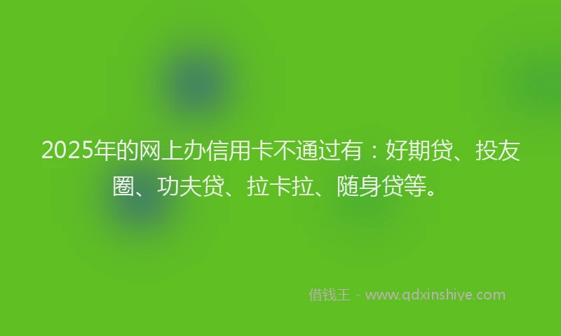 2025年的网上办信用卡不通过有：好期贷、投友圈、功夫贷、拉卡拉、随身贷等。