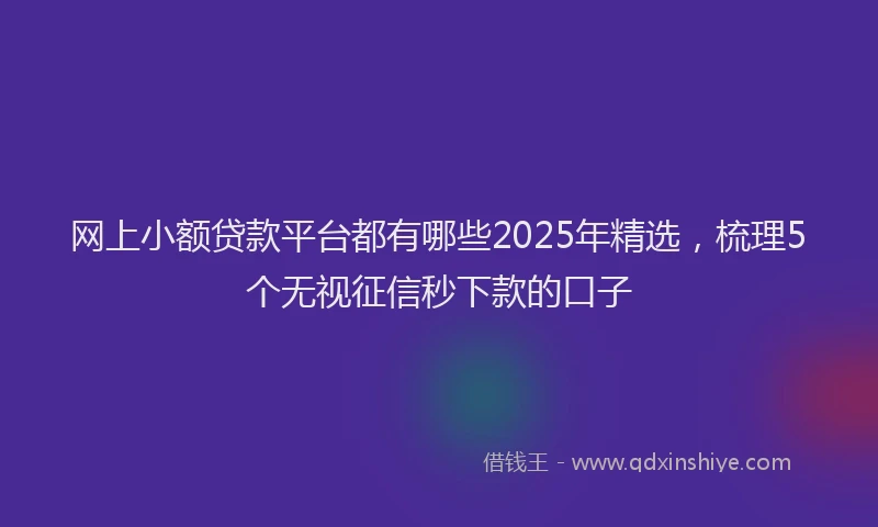 网上小额贷款平台都有哪些2025年精选，梳理5个无视征信秒下款的口子