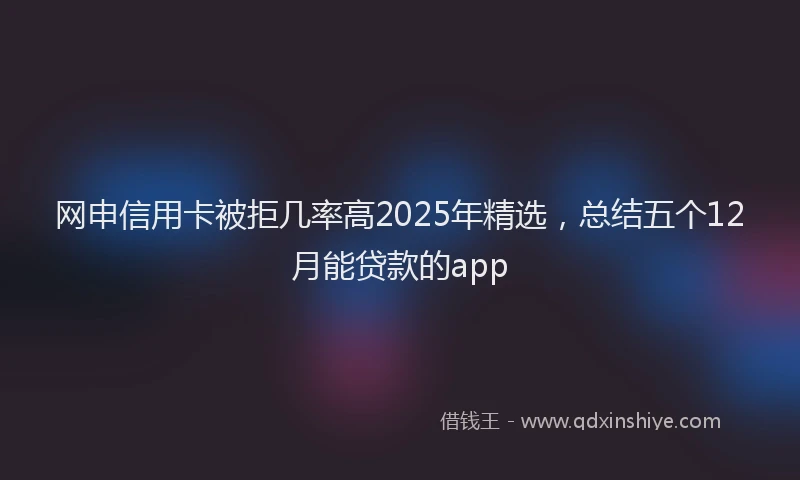 网申信用卡被拒几率高2025年精选,总结五个12月能贷款的app
