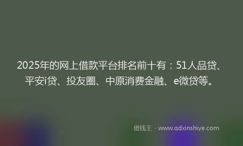 2025年的网上借款平台排名前十有：51人品贷、平安i贷、投友圈、中原消费金融、e微贷等。