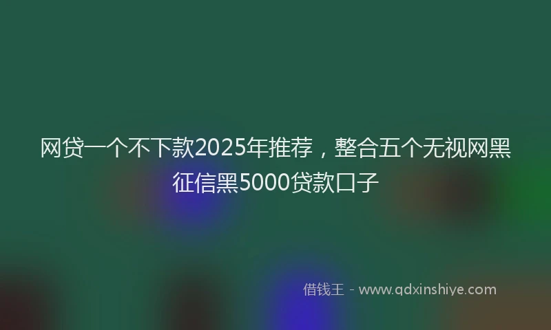 网贷一个不下款2025年推荐，整合五个无视网黑征信黑5000贷款口子