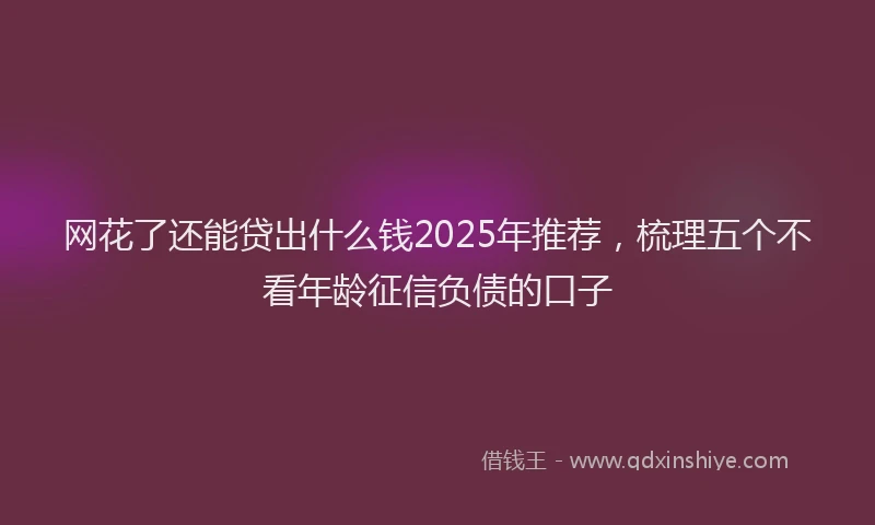 网花了还能贷出什么钱2025年推荐,梳理五个不看年龄征信负债的口子