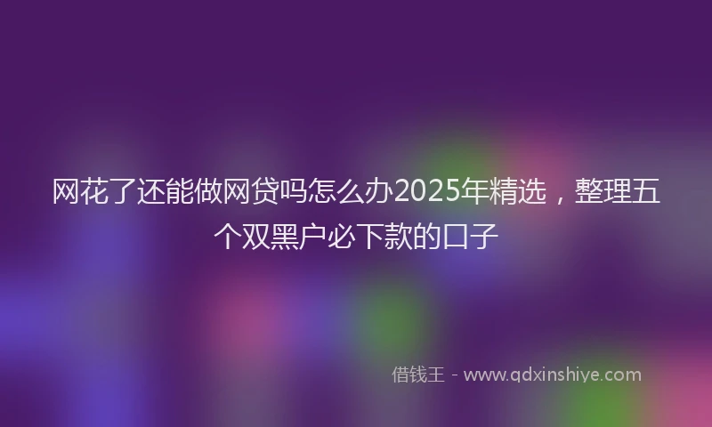 网花了还能做网贷吗怎么办2025年精选，整理五个双黑户必下款的口子