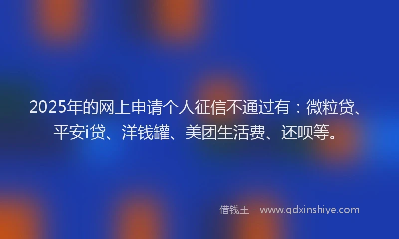 2025年的网上申请个人征信不通过有：微粒贷、平安i贷、洋钱罐、美团生活费、还呗等。