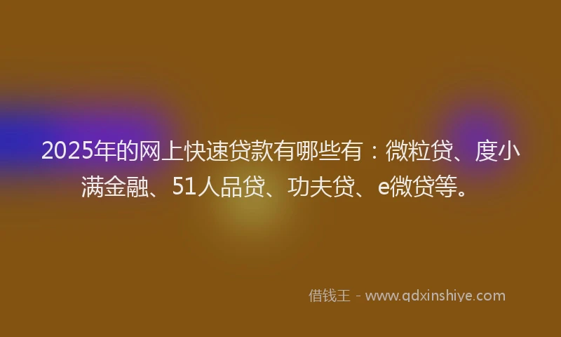 2025年的网上快速贷款有哪些有：微粒贷、度小满金融、51人品贷、功夫贷、e微贷等。