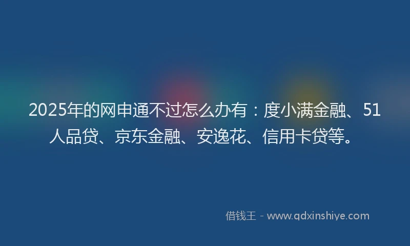 2025年的网申通不过怎么办有：度小满金融、51人品贷、京东金融、安逸花、信用卡贷等。