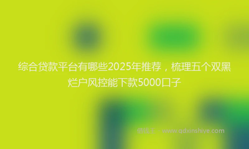 综合贷款平台有哪些2025年推荐，梳理五个双黑烂户风控能下款5000口子