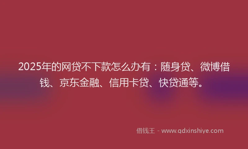 2025年的网贷不下款怎么办有：随身贷、微博借钱、京东金融、信用卡贷、快贷通等。