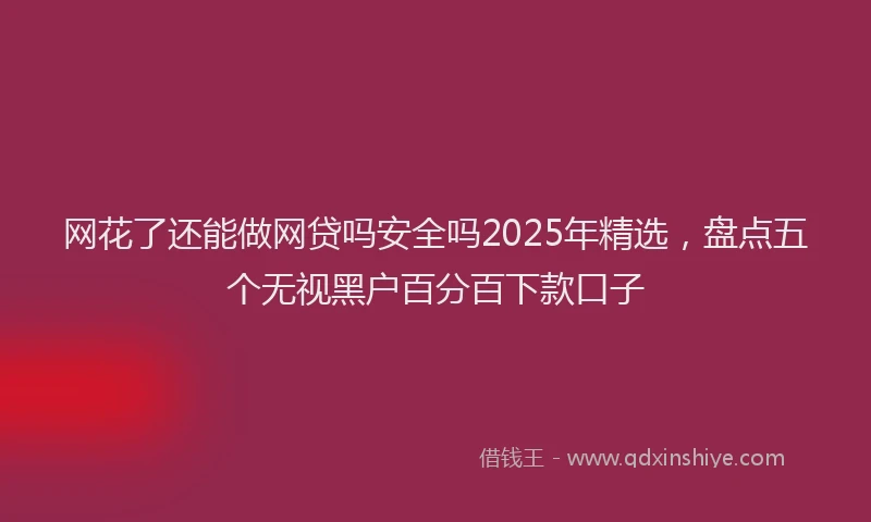 网花了还能做网贷吗安全吗2025年精选，盘点五个无视黑户百分百下款口子