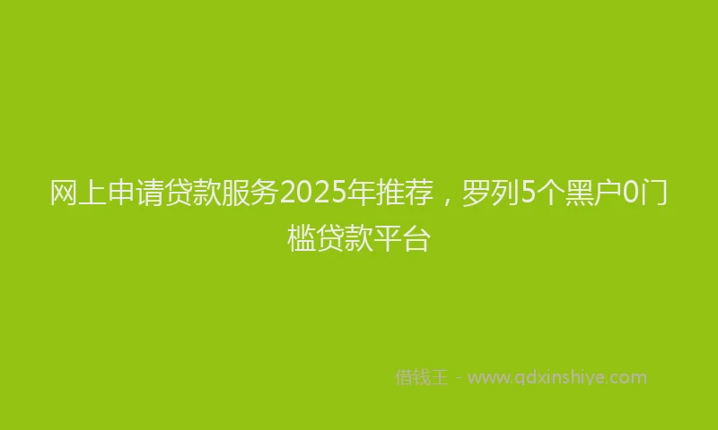 网上申请贷款服务2025年推荐，罗列5个黑户0门槛贷款平台