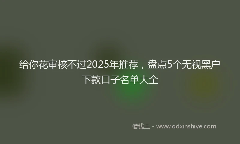 给你花审核不过2025年推荐，盘点5个无视黑户下款口子名单大全