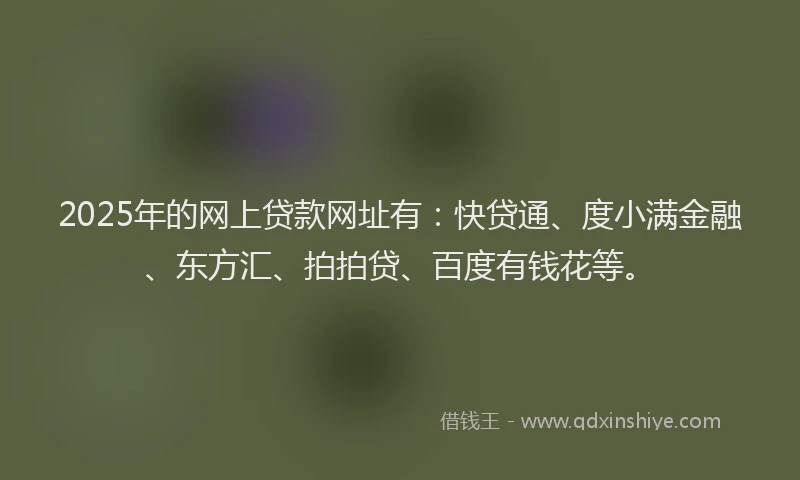 2025年的网上贷款网址有：快贷通、度小满金融、东方汇、拍拍贷、百度有钱花等。