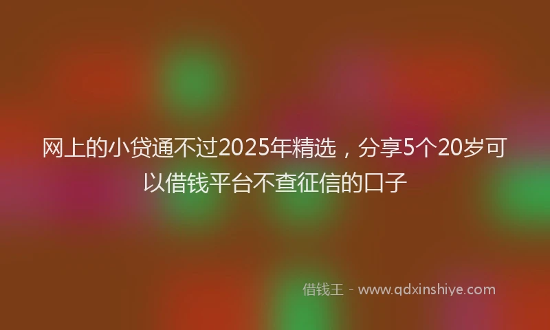 网上的小贷通不过2025年精选，分享5个20岁可以借钱平台不查征信的口子