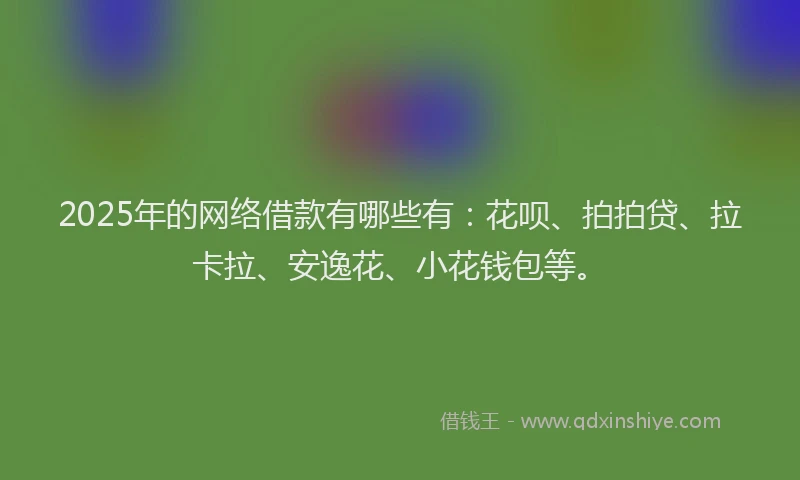 2025年的网络借款有哪些有：花呗、拍拍贷、拉卡拉、安逸花、小花钱包等。