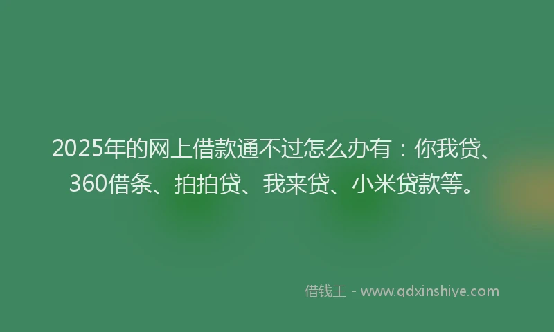 2025年的网上借款通不过怎么办有：你我贷、360借条、拍拍贷、我来贷、小米贷款等。