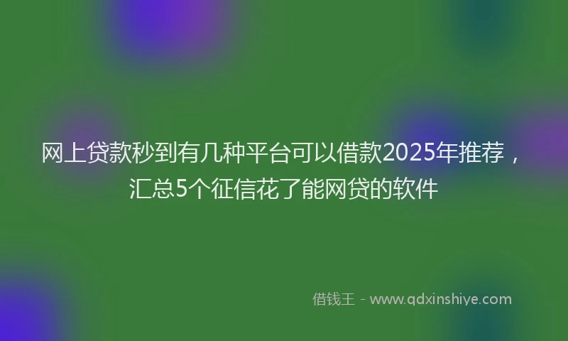 网上贷款秒到有几种平台可以借款2025年推荐，汇总5个征信花了能网贷的软件