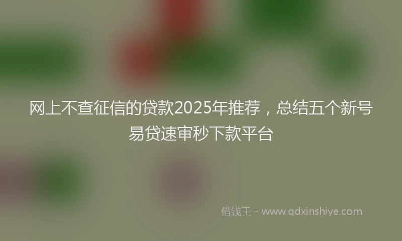 网上不查征信的贷款2025年推荐，总结五个新号易贷速审秒下款平台