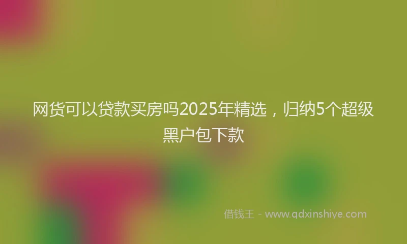 网货可以贷款买房吗2025年精选，归纳5个超级黑户包下款