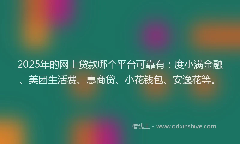 2025年的网上贷款哪个平台可靠有：度小满金融、美团生活费、惠商贷、小花钱包、安逸花等。
