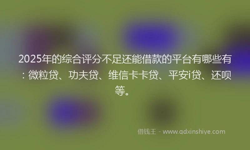 2025年的综合评分不足还能借款的平台有哪些有：微粒贷、功夫贷、维信卡卡贷、平安i贷、还呗等。