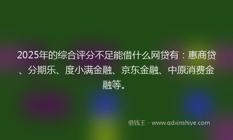 2025年的综合评分不足能借什么网贷有：惠商贷、分期乐、度小满金融、京东金融、中原消费金融等。