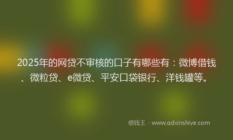 2025年的网贷不审核的口子有哪些有：微博借钱、微粒贷、e微贷、平安口袋银行、洋钱罐等。