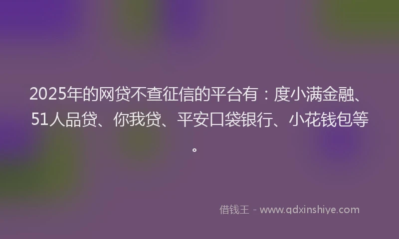 2025年的网贷不查征信的平台有：度小满金融、51人品贷、你我贷、平安口袋银行、小花钱包等。