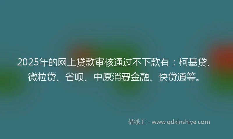 2025年的网上贷款审核通过不下款有：柯基贷、微粒贷、省呗、中原消费金融、快贷通等。