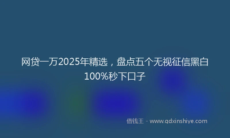 网贷一万2025年精选，盘点五个无视征信黑白100%秒下口子