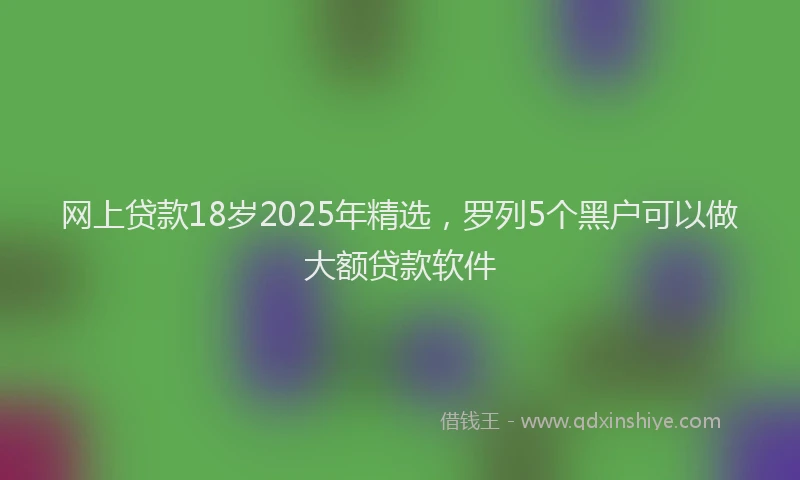 网上贷款18岁2025年精选，罗列5个黑户可以做大额贷款软件