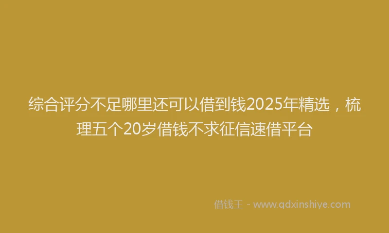 综合评分不足哪里还可以借到钱2025年精选，梳理五个20岁借钱不求征信速借平台