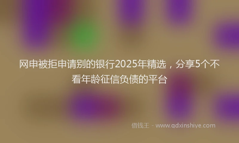 网申被拒申请别的银行2025年精选，分享5个不看年龄征信负债的平台